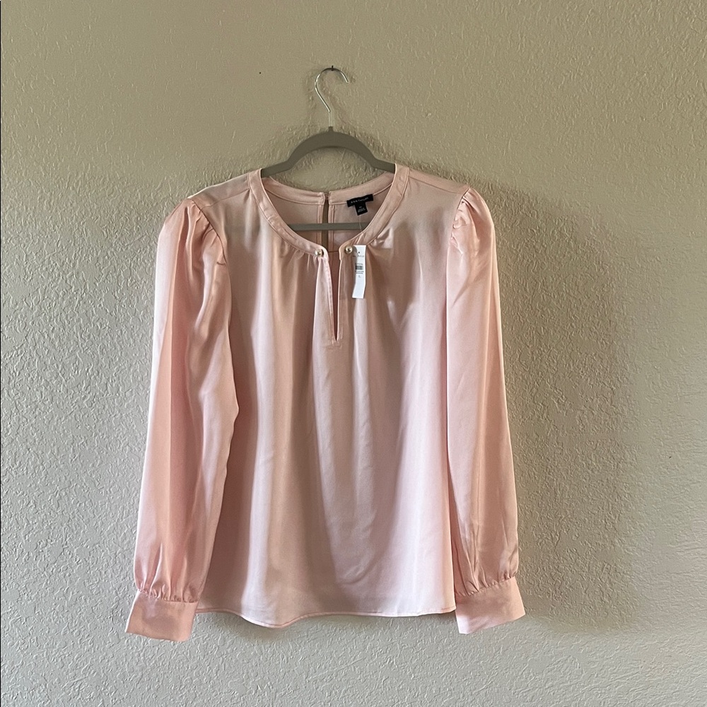Ann Taylor Soft Pink Blouse